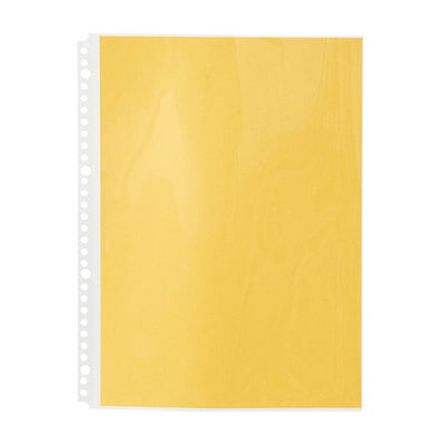 インフォメーション用リフィルA4(10枚入)N-210231820-01の商品画像