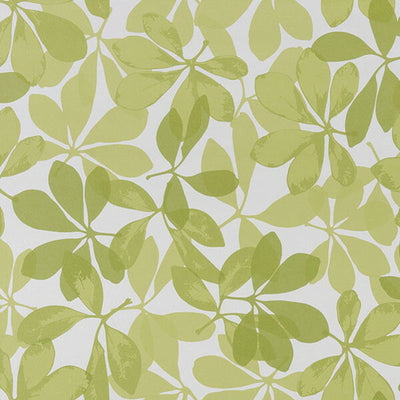 東リクロスPOWER1000パターン「ナチュラル&カジュアル」WVP4106の商品画像