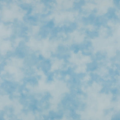 東リクロスPOWER1000パターン「ナチュラル&カジュアル」WVP4115の商品画像