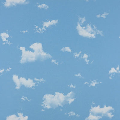 東リクロスPOWER1000パターン「ナチュラル&カジュアル」WVP4116の商品画像