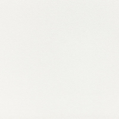 東リクロスPOWER1000厚みのある不燃認定壁紙WVP4180の商品画像