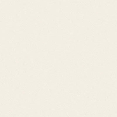 東リクロスPOWER1000抗ウイルス壁紙WVP4249の商品画像