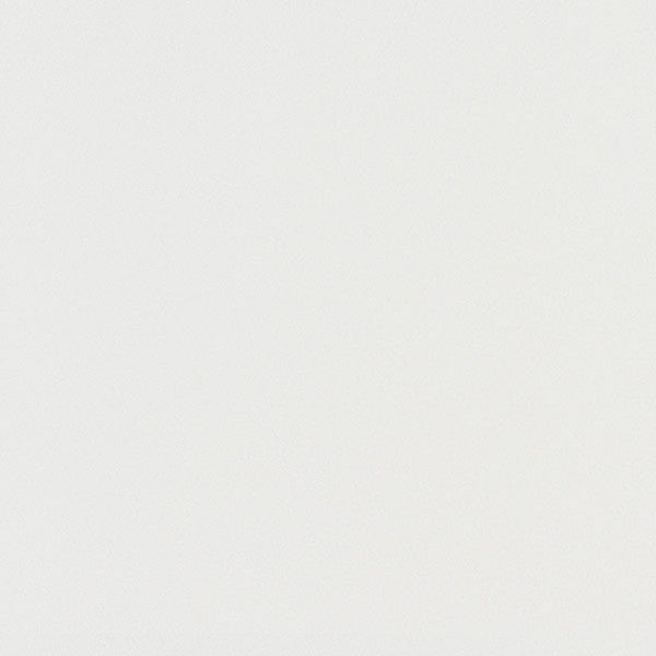 東リクロスPOWER1000抗ウイルス壁紙WVP4251の商品画像