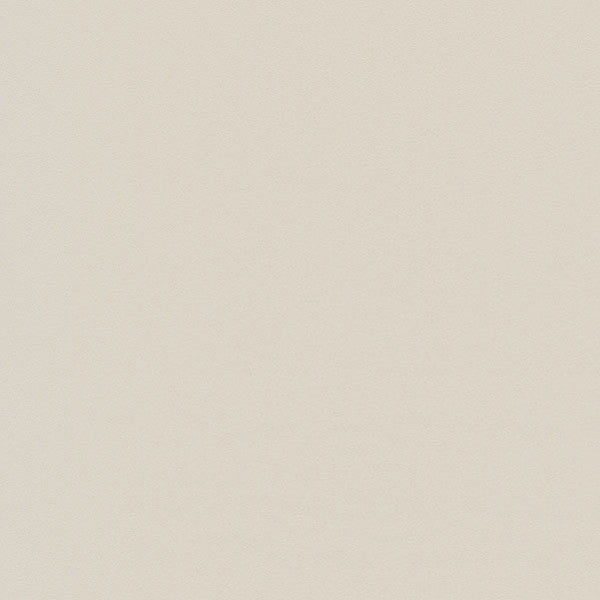 東リクロスPOWER1000抗ウイルス壁紙WVP4252の商品画像