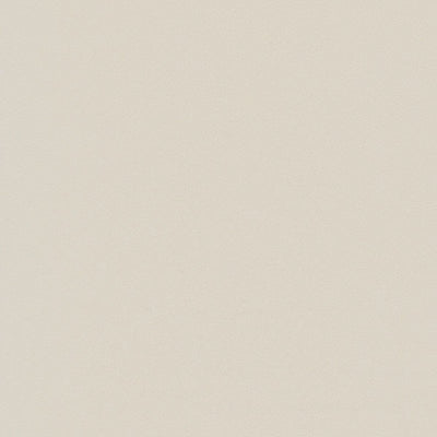 東リクロスPOWER1000抗ウイルス壁紙WVP4252の商品画像