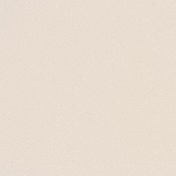 東リクロスPOWER1000抗ウイルス壁紙WVP4254の商品画像