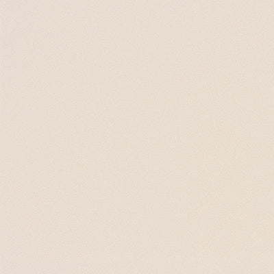 東リクロスPOWER1000抗ウイルス壁紙WVP4254の商品画像