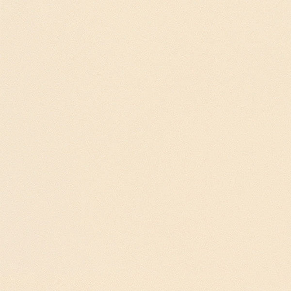 東リクロスPOWER1000抗ウイルス壁紙WVP4258の商品画像