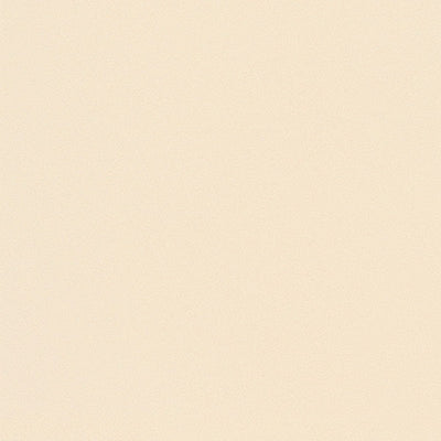 東リクロスPOWER1000抗ウイルス壁紙WVP4258の商品画像