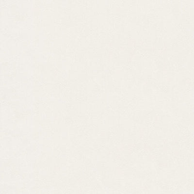 東リクロスPOWER1000抗菌ベーシックWVP4263の商品画像