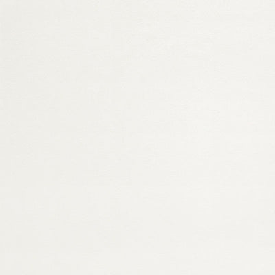 東リクロスPOWER1000抗菌ベーシックWVP4267の商品画像