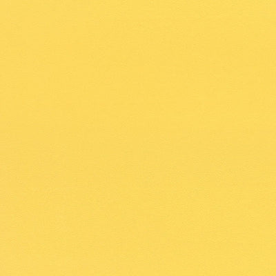 東リクロスPOWER1000抗菌ベーシックWVP4282の商品画像