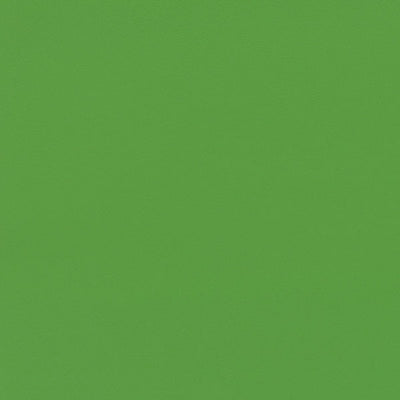 東リクロスPOWER1000抗菌ベーシックWVP4286の商品画像