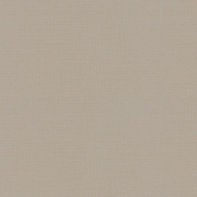 東リクロスPOWER1000抗菌ベーシックWVP4302の商品画像