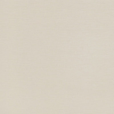 東リクロスPOWER1000抗菌ベーシックWVP4321の商品画像