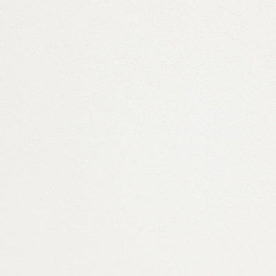 東リクロスPOWER1000フィルム抗菌汚れ防止「エバール」WVP4356の商品画像