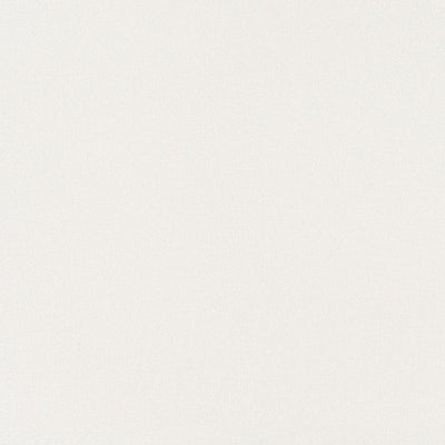 東リクロスPOWER1000フィルム抗菌汚れ防止「エバール」WVP4358の商品画像