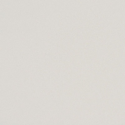 東リクロスPOWER1000フィルム抗菌汚れ防止「エバール」WVP4360の商品画像