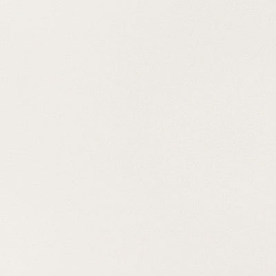 東リクロスPOWER1000フィルム抗菌汚れ防止「エバール」WVP4378の商品画像