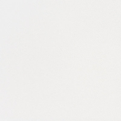 東リクロスPOWER1000フィルム抗菌汚れ防止「エバール」WVP4379の商品画像