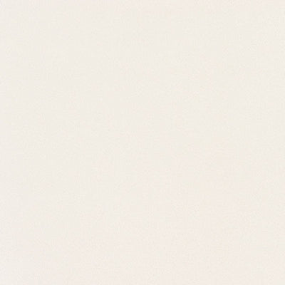 東リクロスPOWER1000フィルム抗菌汚れ防止「エバール」WVP4381の商品画像