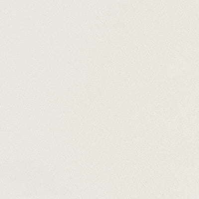 東リクロスPOWER1000フィルム抗菌汚れ防止「エバール」WVP4382の商品画像