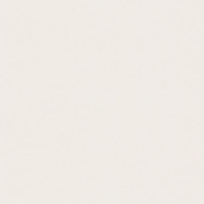 東リクロスPOWER1000フィルム抗菌汚れ防止「エバール」WVP4388の商品画像