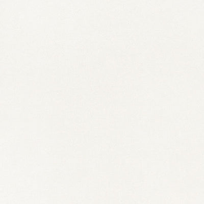 東リクロスPOWER1000フィルム抗菌汚れ防止・ハードタイプ「エバール」WVP4396の商品画像