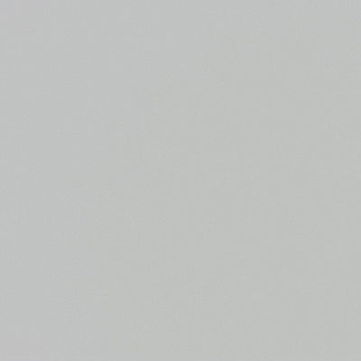 東リクロスPOWER1000フィルム抗菌汚れ防止・ハードタイプ「エバール」WVP4399の商品画像