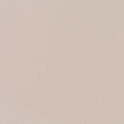 東リクロスPOWER1000フィルム抗菌汚れ防止・ハードタイプ「エバール」WVP4405の商品画像