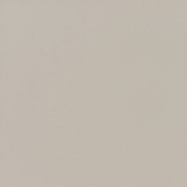 東リクロスPOWER1000フィルム抗菌汚れ防止・ハードタイプ「エバール」WVP4406の商品画像