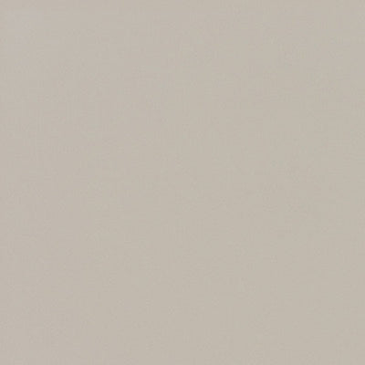 東リクロスPOWER1000フィルム抗菌汚れ防止・ハードタイプ「エバール」WVP4406の商品画像