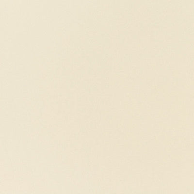 東リクロスPOWER1000フィルム抗菌汚れ防止・ハードタイプ「エバール」WVP4408の商品画像