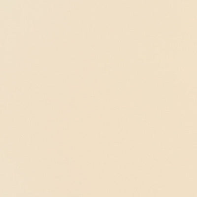 東リクロスPOWER1000フィルム抗菌汚れ防止・ハードタイプ「エバール」WVP4409の商品画像