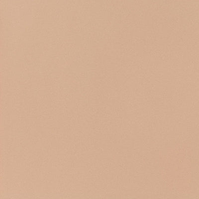 東リクロスPOWER1000フィルム抗菌汚れ防止・ハードタイプ「エバール」WVP4410の商品画像