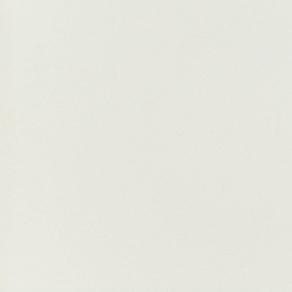 東リクロスPOWER1000フィルム抗菌汚れ防止・ハードタイプ「エバール」WVP4411の商品画像