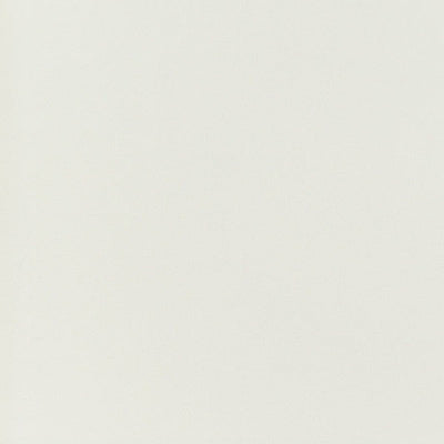 東リクロスPOWER1000フィルム抗菌汚れ防止・ハードタイプ「エバール」WVP4411の商品画像