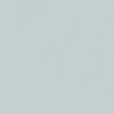 東リクロスPOWER1000フィルム抗菌汚れ防止・ハードタイプ「エバール」WVP4413の商品画像