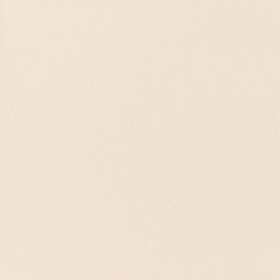 東リクロスPOWER1000フィルム抗菌汚れ防止・ハードタイプ「エバール」WVP4414の商品画像