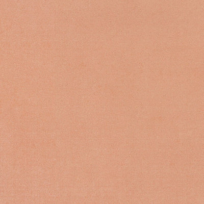 東リクロスPOWER1000フィルム抗菌汚れ防止・ハードタイプ「エバール」WVP4415の商品画像