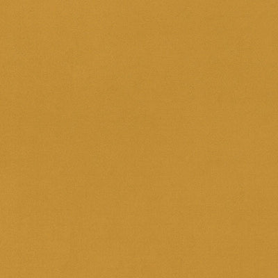 東リクロスPOWER1000フィルム抗菌汚れ防止・ハードタイプ「エバール」WVP4419の商品画像