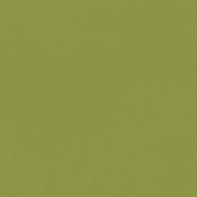 東リクロスPOWER1000フィルム抗菌汚れ防止・ハードタイプ「エバール」WVP4420の商品画像