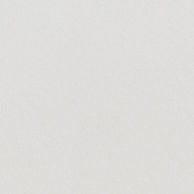 東リクロスPOWER1000フィルム抗菌汚れ防止・ハードタイプ「エバール」WVP4426の商品画像