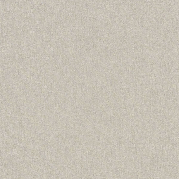 東リクロスPOWER1000フィルム抗菌汚れ防止・ハードタイプ「エバール」WVP4429の商品画像