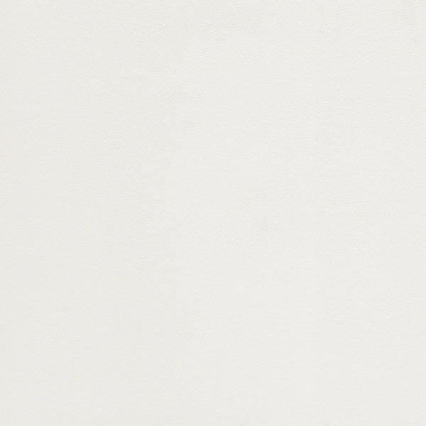 東リクロスPOWER1000フィルム抗菌汚れ防止・ハードタイプ「エバール」WVP4449の商品画像