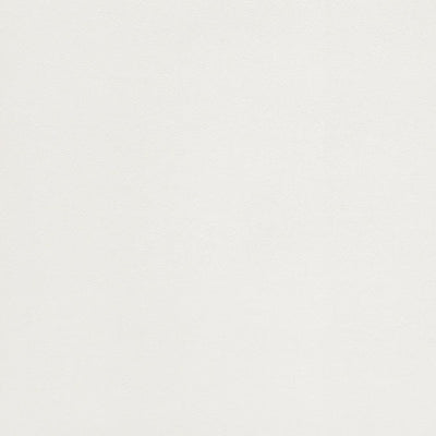 東リクロスPOWER1000フィルム抗菌汚れ防止・ハードタイプ「エバール」WVP4449の商品画像