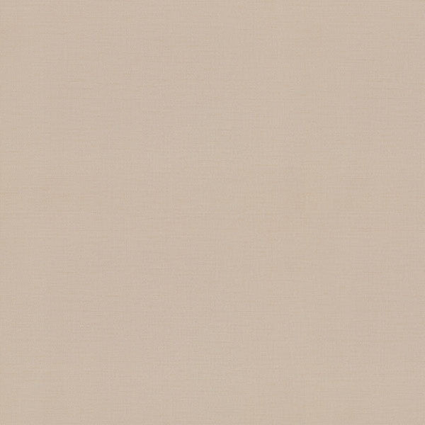 東リクロスPOWER1000フィルム抗菌汚れ防止・スーパーハードタイプ「エバール」WVP4451の商品画像