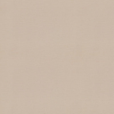 東リクロスPOWER1000フィルム抗菌汚れ防止・スーパーハードタイプ「エバール」WVP4451の商品画像