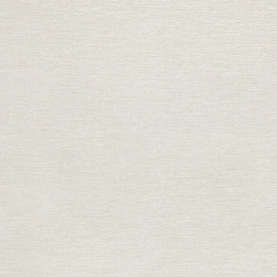 東リクロスPOWER1000フィルム抗菌汚れ防止・スーパーハードタイプ「エバール」WVP4453の商品画像