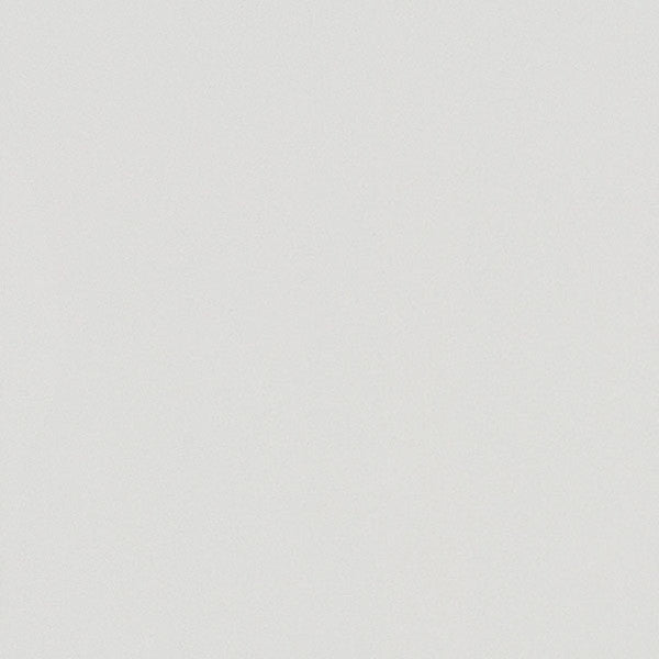 東リクロスPOWER1000フィルム抗菌汚れ防止・スーパーハードタイプ「エバール」WVP4462の商品画像